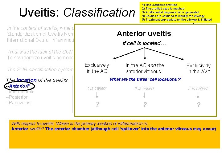 Uveitis: Classification 1) The uveitis is profiled 2) The profiled case is meshed 3)