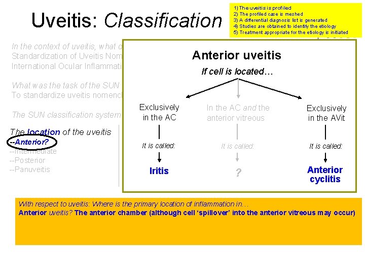 Uveitis: Classification 1) The uveitis is profiled 2) The profiled case is meshed 3)