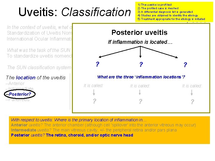 Uveitis: Classification 1) The uveitis is profiled 2) The profiled case is meshed 3)