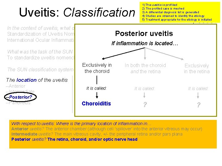 Uveitis: Classification 1) The uveitis is profiled 2) The profiled case is meshed 3)
