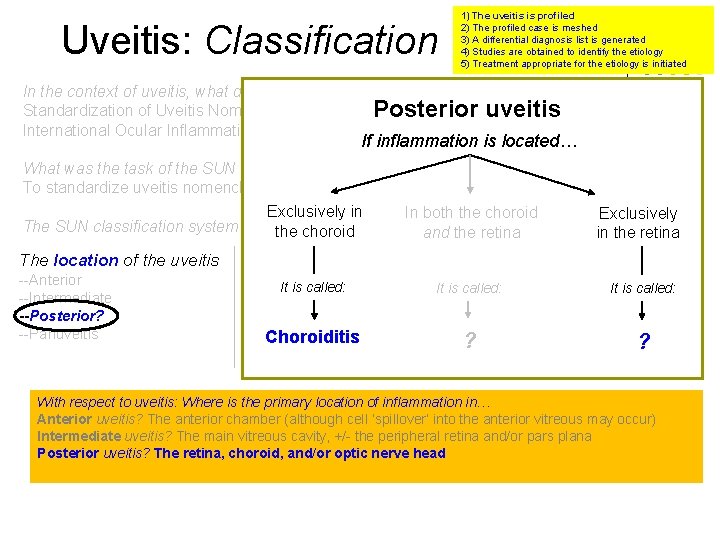 Uveitis: Classification 1) The uveitis is profiled 2) The profiled case is meshed 3)