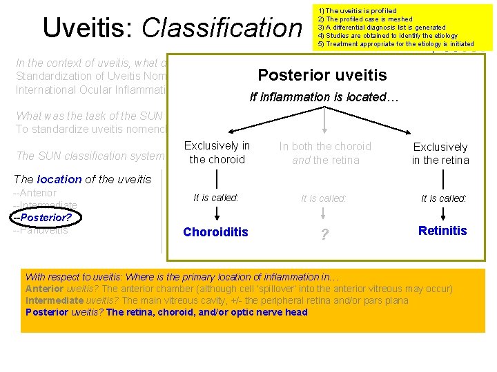 Uveitis: Classification 1) The uveitis is profiled 2) The profiled case is meshed 3)