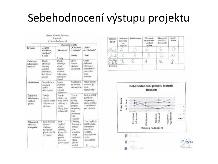 Sebehodnocení výstupu projektu 