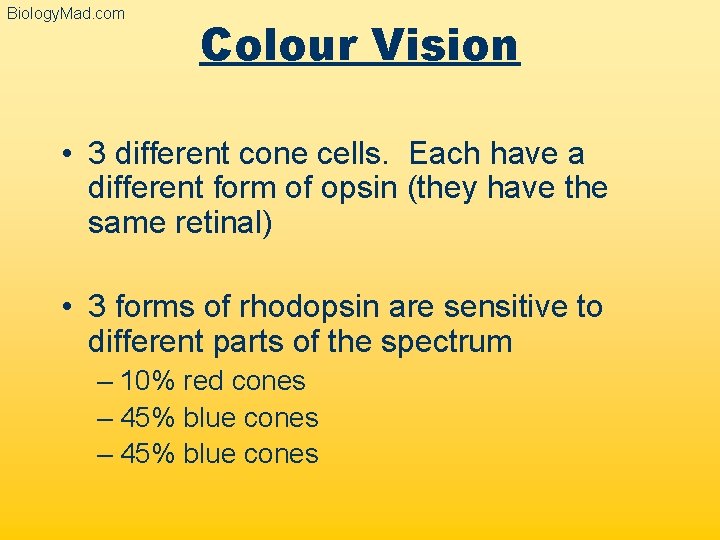 Biology. Mad. com Colour Vision • 3 different cone cells. Each have a different