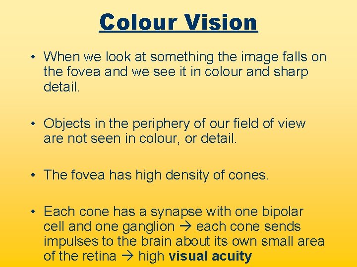 Colour Vision • When we look at something the image falls on the fovea