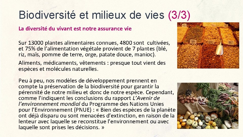 Biodiversité et milieux de vies (3/3) La diversité du vivant est notre assurance vie