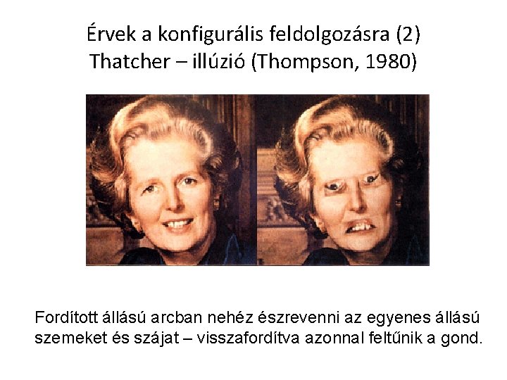 Érvek a konfigurális feldolgozásra (2) Thatcher – illúzió (Thompson, 1980) Fordított állású arcban nehéz Érvek a konfigurális feldolgozásra (2) Thatcher – illúzió (Thompson, 1980) Fordított állású arcban nehéz