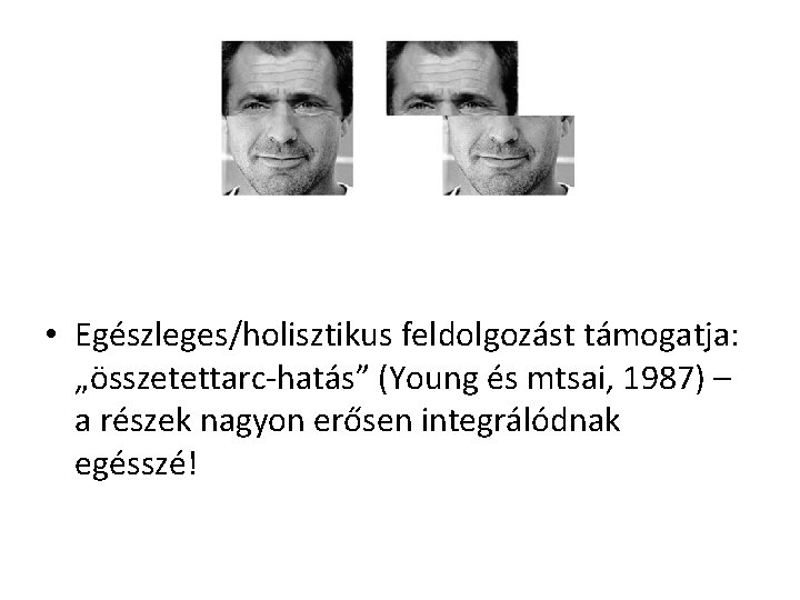 • Egészleges/holisztikus feldolgozást támogatja: „összetettarc-hatás” (Young és mtsai, 1987) – a részek nagyon • Egészleges/holisztikus feldolgozást támogatja: „összetettarc-hatás” (Young és mtsai, 1987) – a részek nagyon