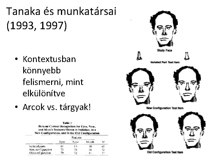 Tanaka és munkatársai (1993, 1997) • Kontextusban könnyebb felismerni, mint elkülönítve • Arcok vs. Tanaka és munkatársai (1993, 1997) • Kontextusban könnyebb felismerni, mint elkülönítve • Arcok vs.