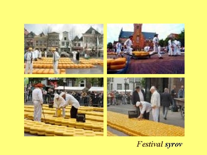 Festival syrov 