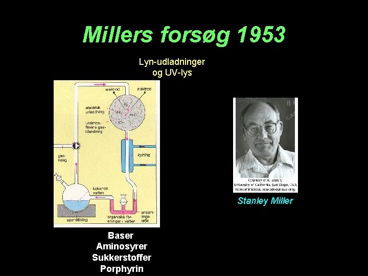 Millers forsøg 1953 Lyn-udladninger og UV-lys Stanley Miller Baser Aminosyrer Sukkerstoffer Porphyrin 