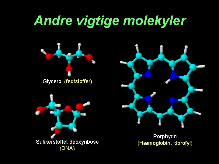 Andre vigtige molekyler Glycerol (fedtstoffer) Sukkerstoffet deoxyribose (DNA) Porphyrin (Hæmoglobin, klorofyl) 