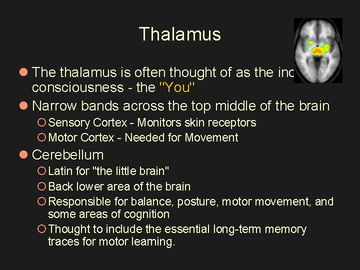Thalamus l The thalamus is often thought of as the individual consciousness - the