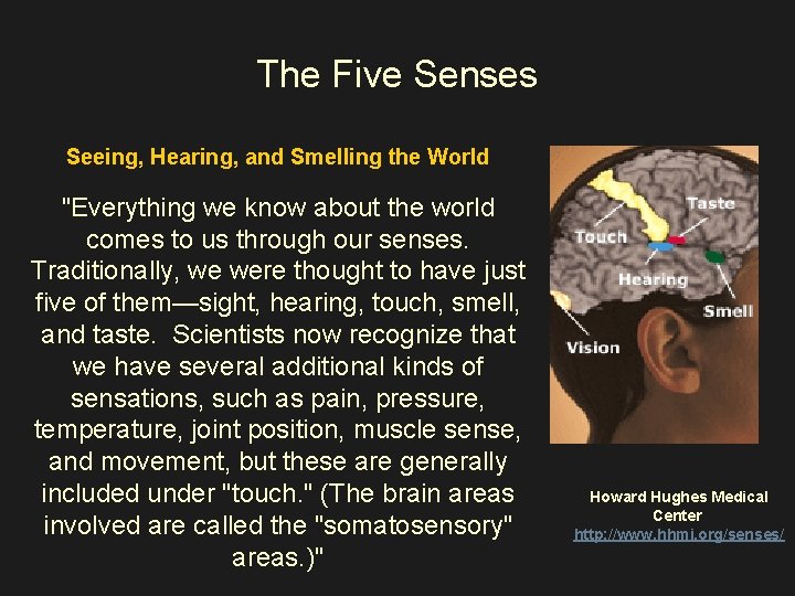 The Five Senses Seeing, Hearing, and Smelling the World "Everything we know about the