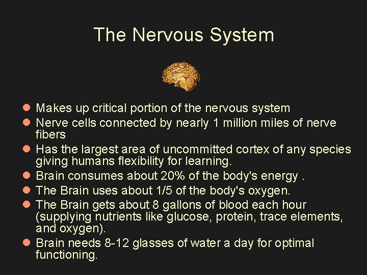 The Nervous System l Makes up critical portion of the nervous system l Nerve