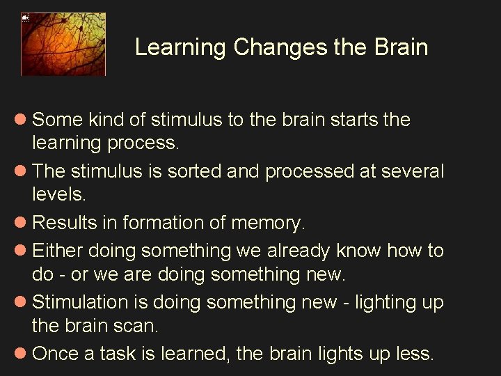 Learning Changes the Brain l Some kind of stimulus to the brain starts the
