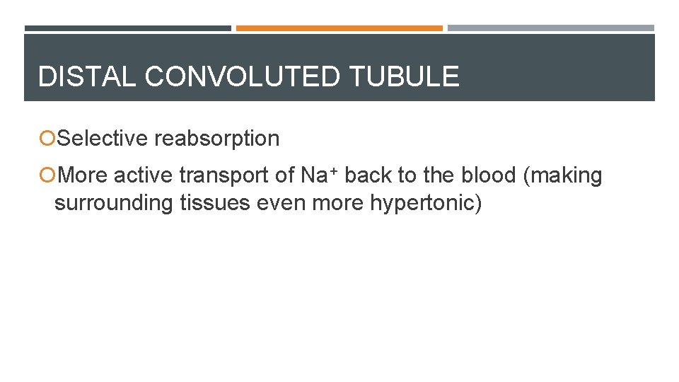 DISTAL CONVOLUTED TUBULE Selective reabsorption More active transport of Na+ back to the blood