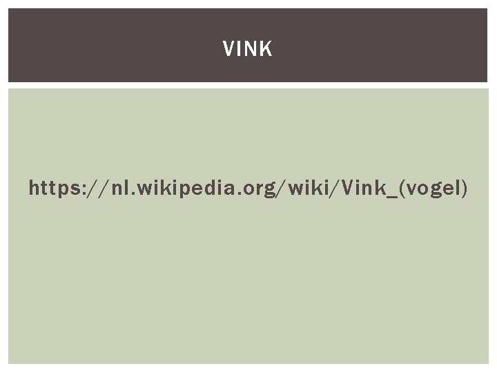 VINK https: //nl. wikipedia. org/wiki/Vink_(vogel) 