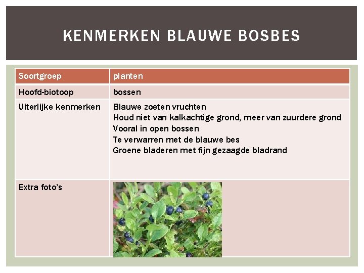 KENMERKEN BLAUWE BOSBES Soortgroep planten Hoofd-biotoop bossen Uiterlijke kenmerken Blauwe zoeten vruchten Houd niet