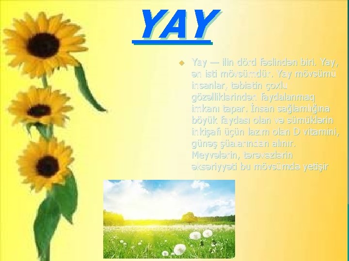 YAY u Yay — ilin dörd fəslindən biri. Yay, ən isti mövsümdür. Yay mövsümü