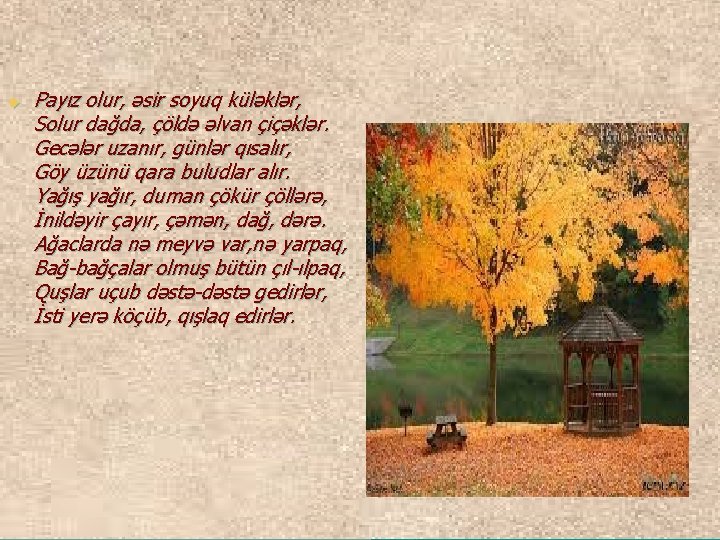 u Payız olur, əsir soyuq küləklər, Solur dağda, çöldə əlvan çiçəklər. Gecələr uzanır, günlər