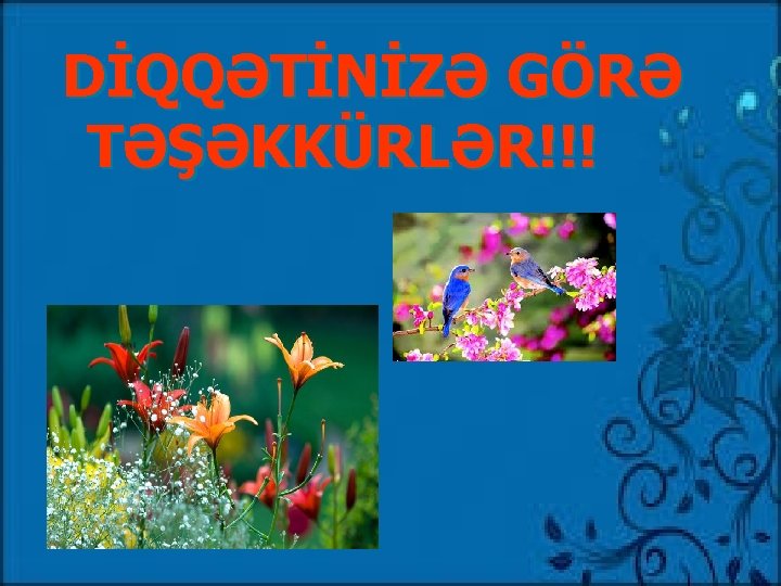 DİQQƏTİNİZƏ GÖRƏ TƏŞƏKKÜRLƏR!!! 