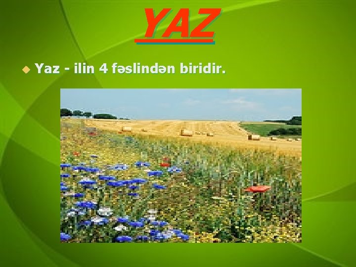 YAZ u Yaz - ilin 4 fəslindən biridir. 