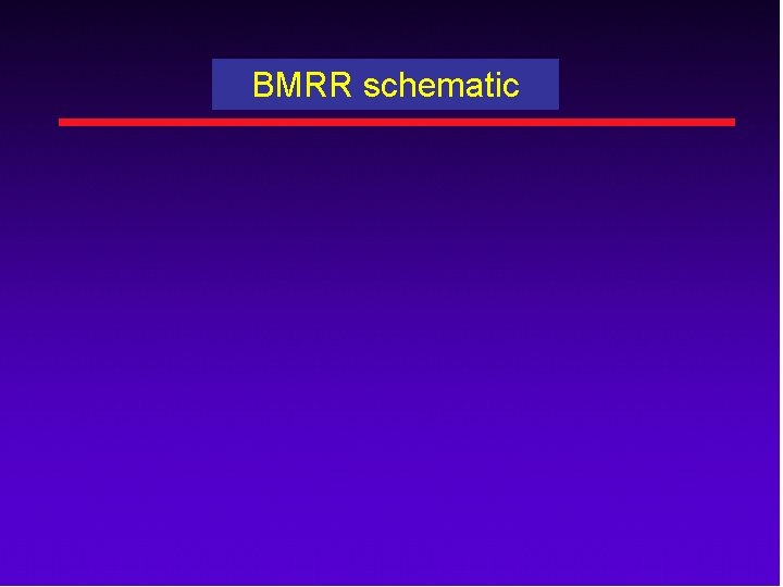 BMRR schematic 