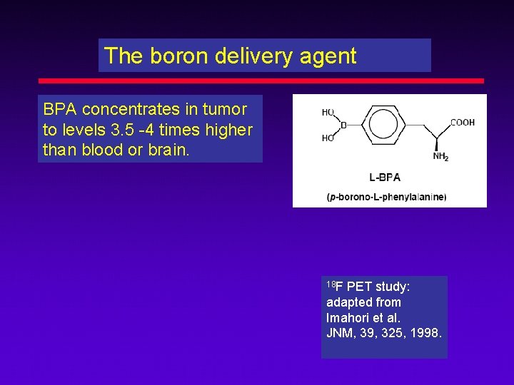 The boron delivery agent BPA concentrates in tumor to levels 3. 5 -4 times