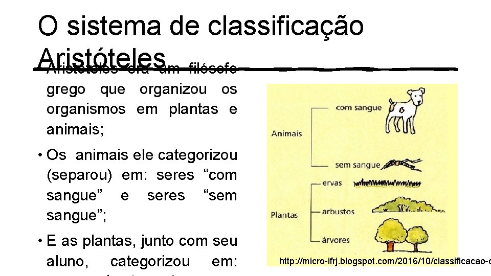O sistema de classificação • Aristóteles era um filósofo grego que organizou os organismos