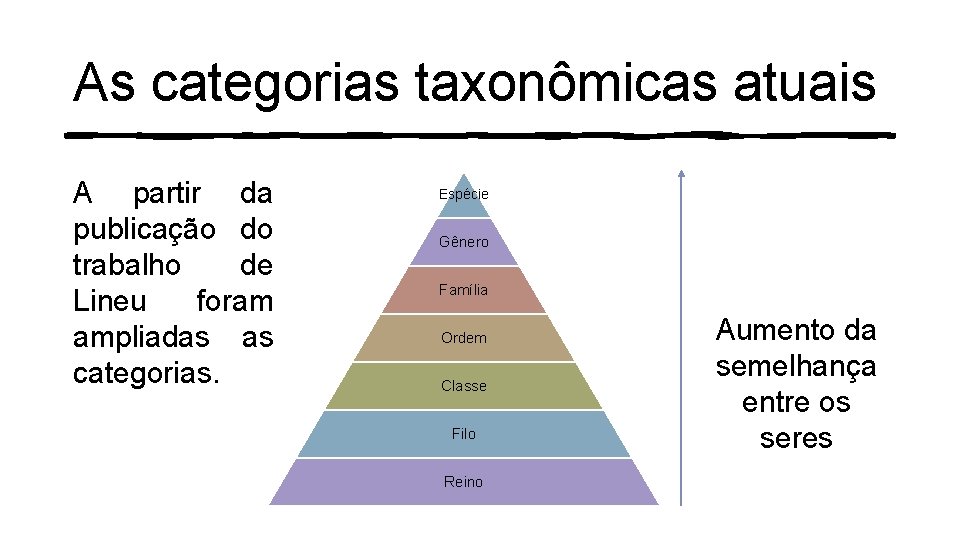 As categorias taxonômicas atuais A partir da publicação do trabalho de Lineu foram ampliadas