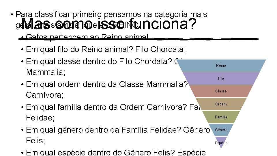  • Para classificar primeiro pensamos na categoria mais geral, mais ampla, que é