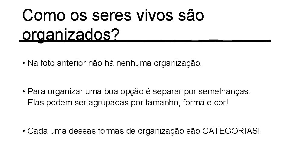 Como os seres vivos são organizados? • Na foto anterior não há nenhuma organização.