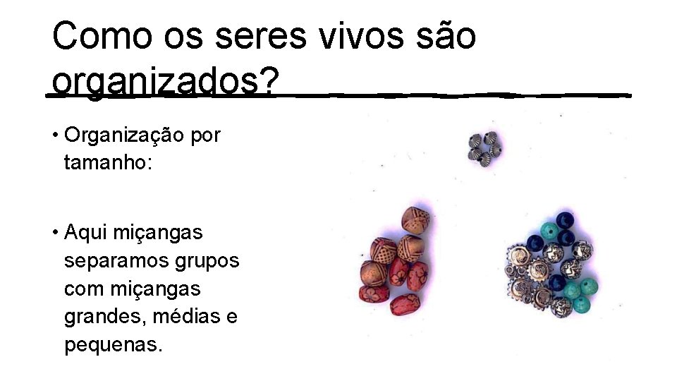 Como os seres vivos são organizados? • Organização por tamanho: • Aqui miçangas separamos