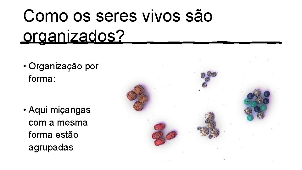 Como os seres vivos são organizados? • Organização por forma: • Aqui miçangas com