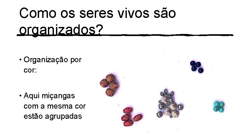 Como os seres vivos são organizados? • Organização por cor: • Aqui miçangas com