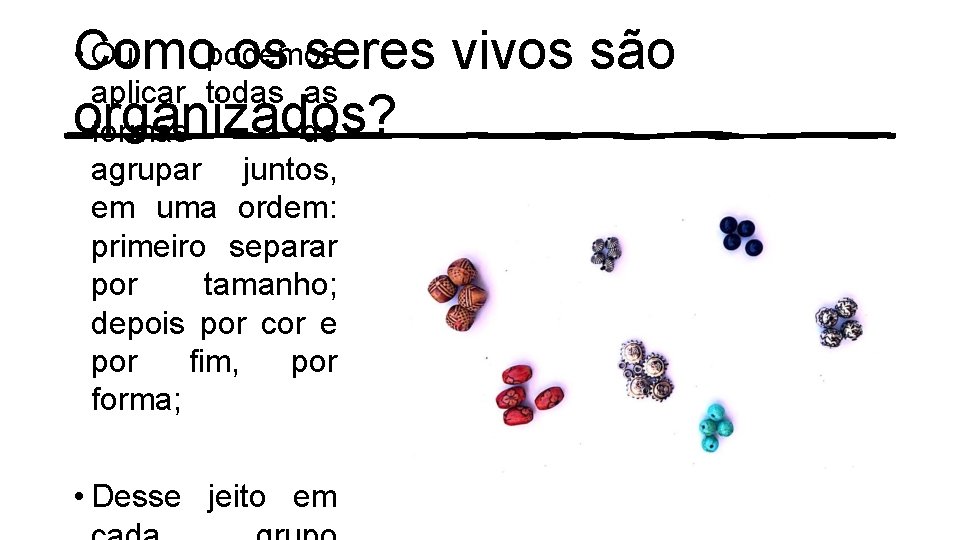 Como os seres vivos são organizados? • Ou podemos aplicar todas as formas de