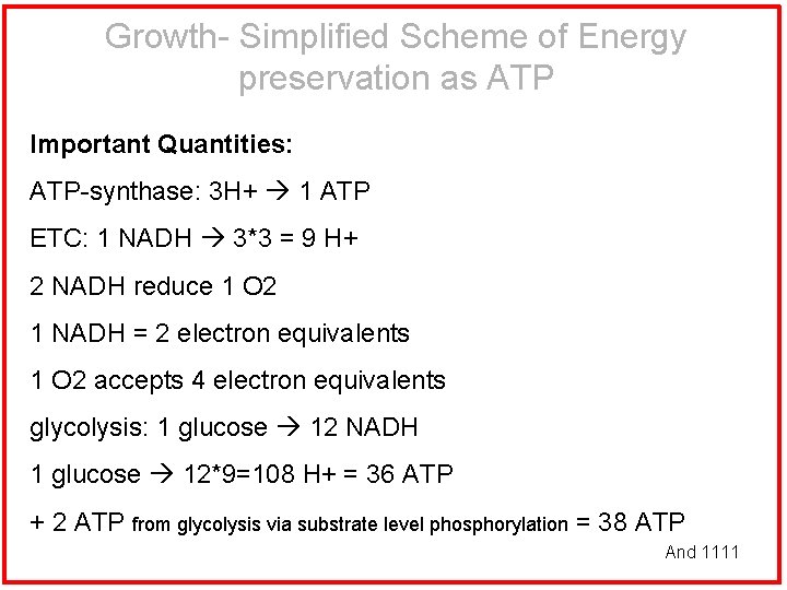 Growth- Simplified Scheme of Energy preservation as ATP Important Quantities: ATP-synthase: 3 H+ 1