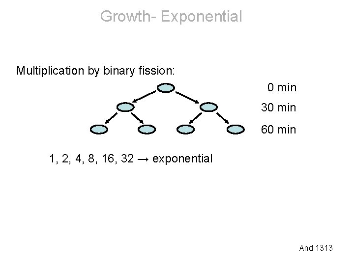 Growth- Exponential Multiplication by binary fission: 0 min 30 min 60 min 1, 2,