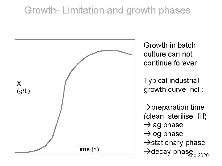 Growth- Limitation and growth phases Growth in batch culture can not continue forever Typical