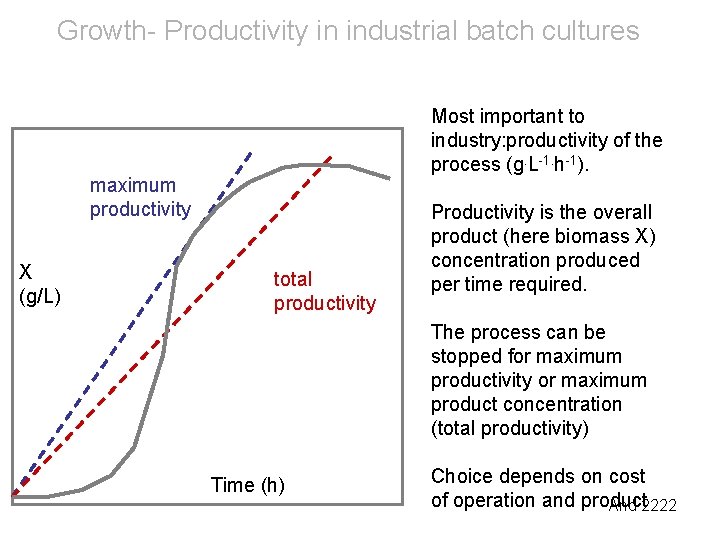 Growth- Productivity in industrial batch cultures Most important to industry: productivity of the process