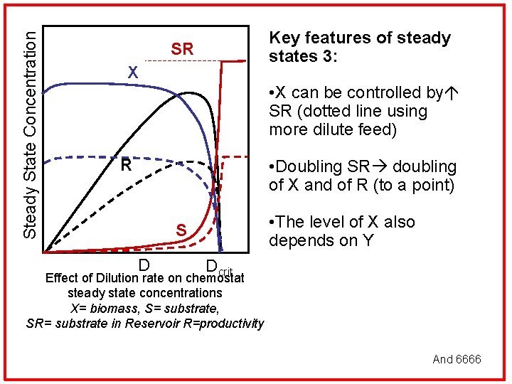 Steady State Concentration Key features of steady states 3: SR X • X can