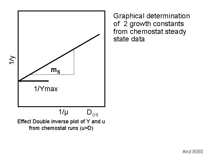 1/y Graphical determination of 2 growth constants from chemostat steady state data m. S