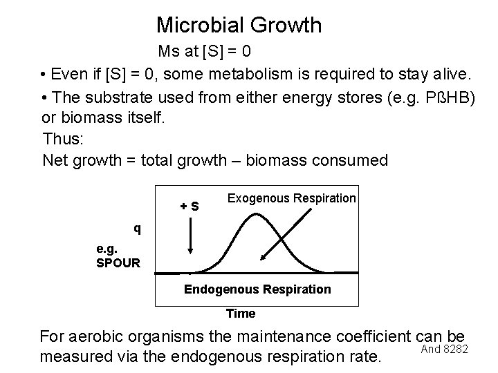Microbial Growth Ms at [S] = 0 • Even if [S] = 0, some