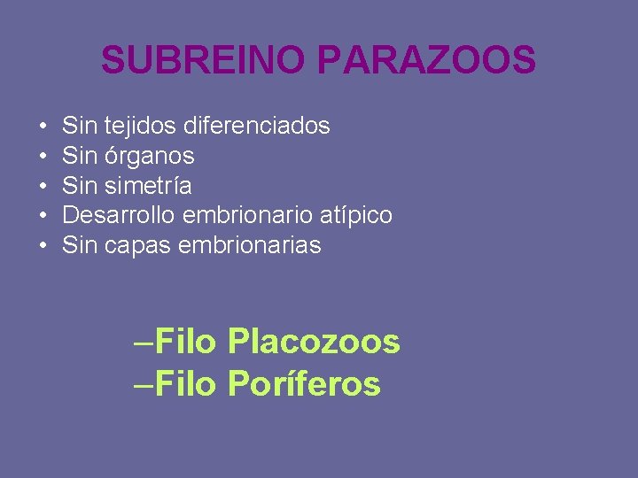 SUBREINO PARAZOOS • • • Sin tejidos diferenciados Sin órganos Sin simetría Desarrollo embrionario