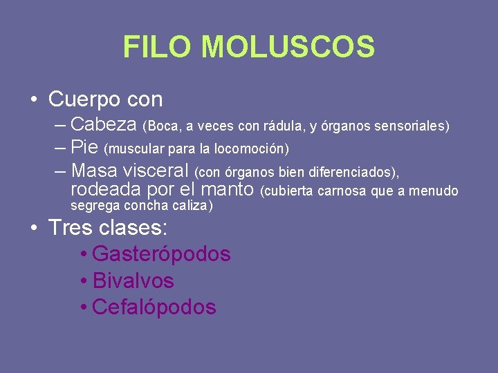 FILO MOLUSCOS • Cuerpo con – Cabeza (Boca, a veces con rádula, y órganos