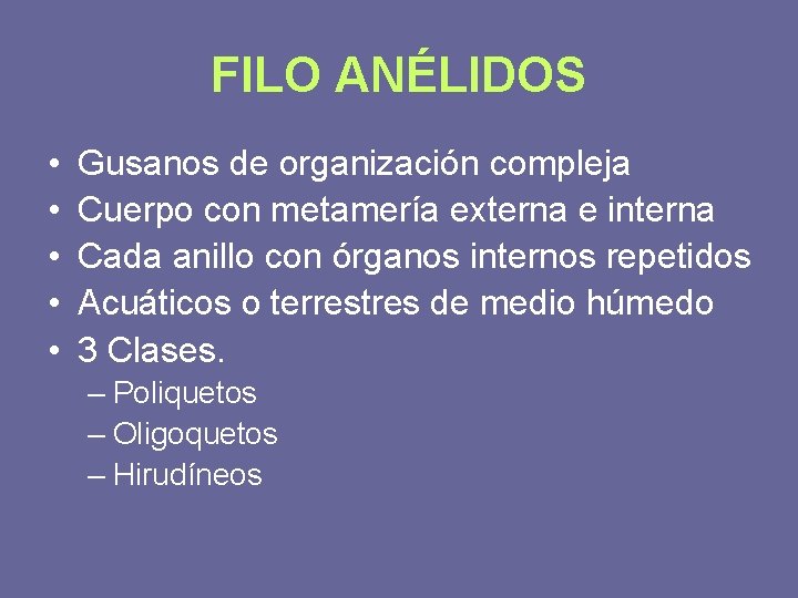 FILO ANÉLIDOS • • • Gusanos de organización compleja Cuerpo con metamería externa e