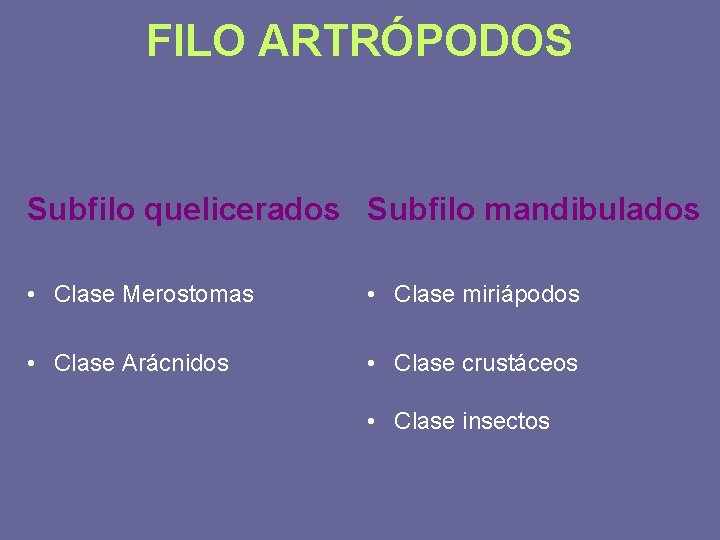 FILO ARTRÓPODOS Subfilo quelicerados Subfilo mandibulados • Clase Merostomas • Clase miriápodos • Clase