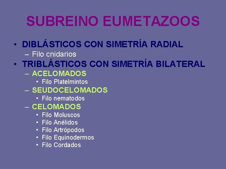 SUBREINO EUMETAZOOS • DIBLÁSTICOS CON SIMETRÍA RADIAL – Filo cnidarios • TRIBLÁSTICOS CON SIMETRÍA