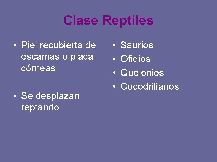 Clase Reptiles • Piel recubierta de escamas o placa córneas • Se desplazan reptando